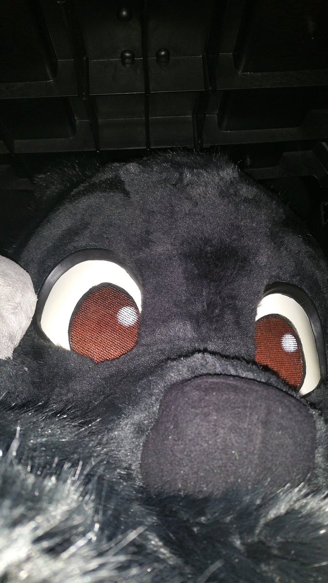 NFC_Mausie's tweet photo. ...I will never let @traxswe book the flight again! He booked me a flight with #UPSExpress to #Stuttgart. It's tight in here! #HCon13 2/2 https://t.co/mqQ15rGXIy