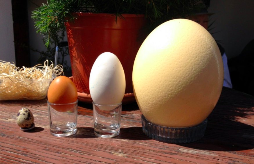 Mαr Mounier 🌐 tweet media