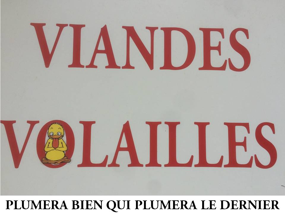 JMFrechet's tweet photo. Les poussins de Ponti ont frappé
#JourneeSansVoiture
@ecoledesloisirs https://t.co/s85Ra4WcdA