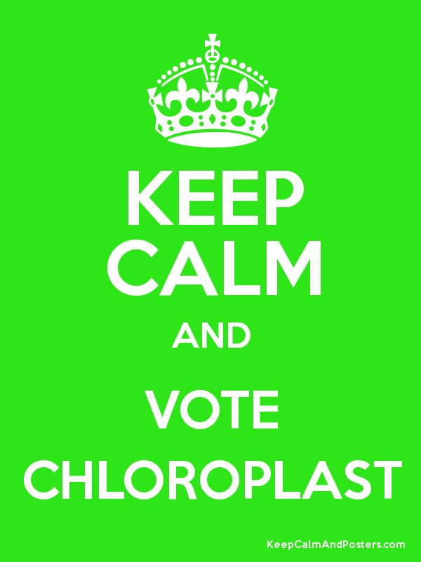 chloro_plast's tweet photo. https://t.co/oaxiGTaZCK