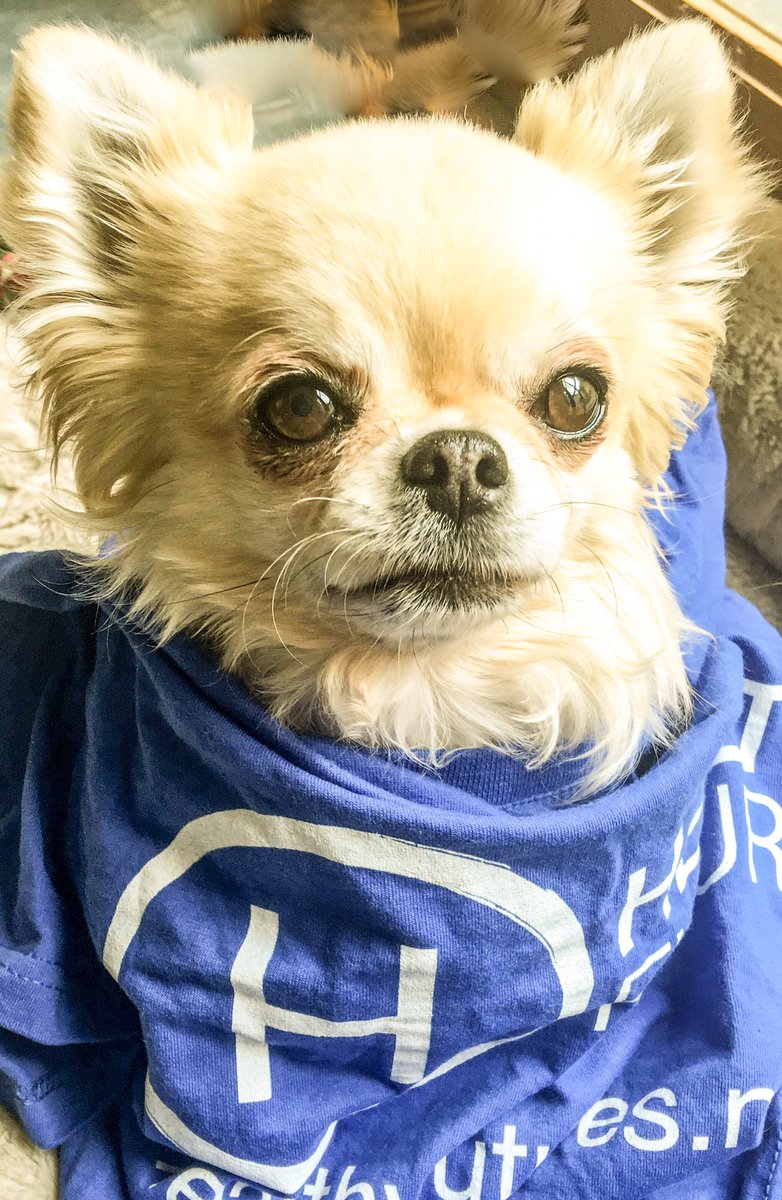 HealthyFuturez's tweet photo. Our fearless leader had a GREAT time at @changexunzipped, thanks for having us! #Dogs4Divestment #Divest #PublicHealth #dogsoftwitter https://t.co/f91DrIXhtR