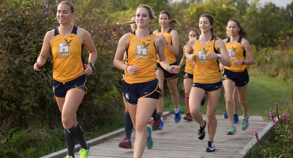 HumberHawks's tweet photo. XC | CROSS COUNTRY COMPETES AT SENECA; SHUVERA, VEENSTRA LEAD HAWKS

📝➡️ https://t.co/JdGhNtnk6K https://t.co/LVhBpTYKAU