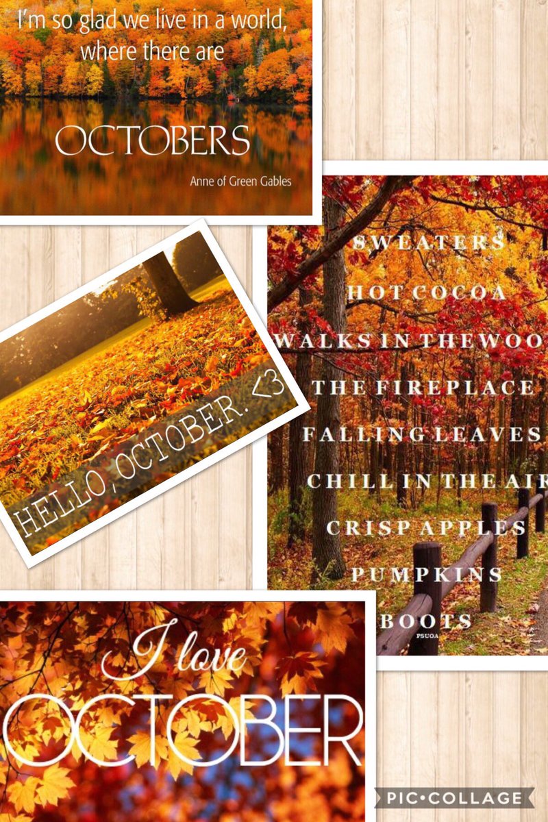 Im_Diff3r3nt_90's tweet photo. โฅ๏ธ๐๐๐๐โฅ๏ธ #lovefallseason #favortiteseason #loveoctober #bestmonth #October1st https://t.co/XXzjWy26dh