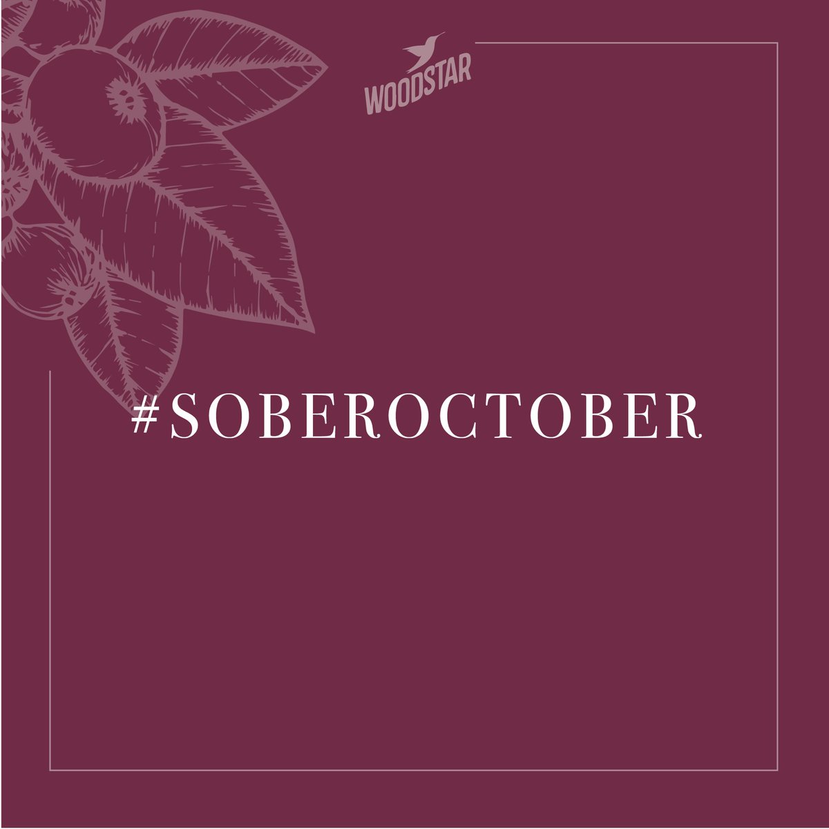 MyWoodstar's tweet photo. Hello #SoberOctober! 👋🏼🍷🎉 who’s in? We sure are! 🙋🏼🙋🏽‍♂️🙋🏼‍♂️🙋🏻 #noalcohol #alcoholfree #lowproof https://t.co/Wspe7nGucg