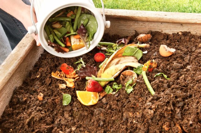 Happy October! Autumn is a great time to start composting. Check out this link: bit.ly/2vZfs6V #autumn #composting #sustainability