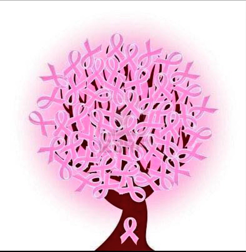 Cy-Fair High School tweet media