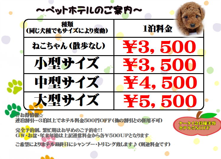 ひごペット フレンドリー ひごペットイオンモール出雲店 10月1日ご来店のわんちゃん T Co Paeguuzcx3 ひごペットクラブ ひごペット フレンドリー ひごペットイオンモール出雲店 10月1日ご来店のわんちゃん T Co Paeguuzcx3 ひごペットクラブ