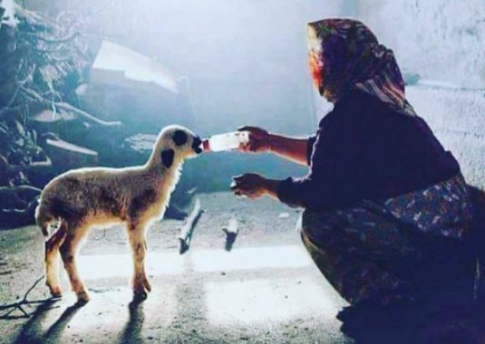 burr_pl's tweet photo. “أسعد الناس هم المعطاءون وليسوا الآخذون”. https://t.co/KtgFFgE5w8