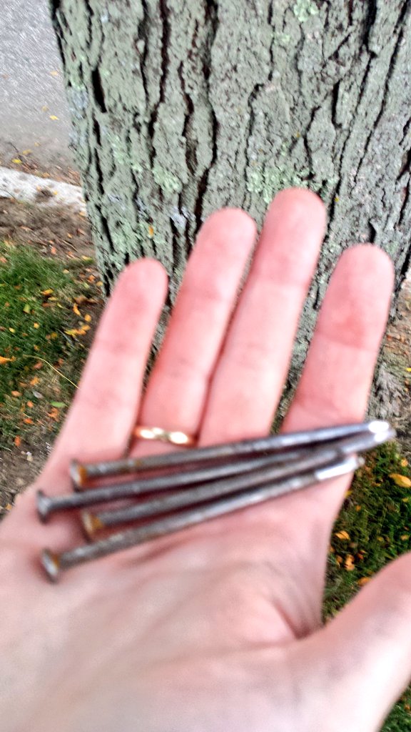 Citzn_Forester's tweet photo. Even if you are advertising the best yard sale ever, DO NOT...I repeat...DO! NOT! PUT NAILS IN #STREETTREES! #Trees are living things! 🌳 https://t.co/nf85vjHGw8