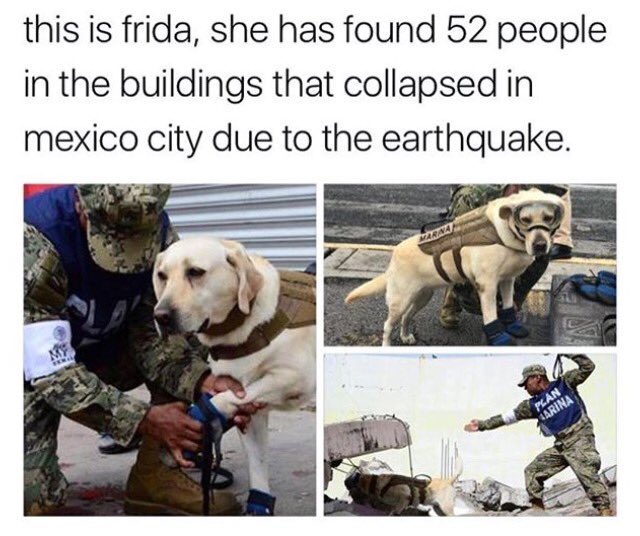 Hope_4_humanity's tweet photo. https://t.co/N9pXyLJTj2