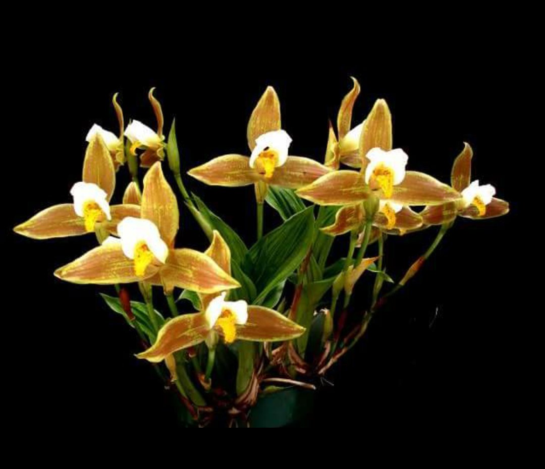 GabDiceQue's tweet photo. @miarianmoreno @LiliBodo @LavorattoT @ArqueraS1310 @SalvOasi @KedmaHelena1 @aLAURA2015 @vuhtans @BrettCateley @Chuca_85 @Kaah_AlencarTop @lv4gab @SergioA60798547 @QuIcKsIgN2 @VivaciousStar2 @GigiFollows @TM1DN @SiscoMGWV @DOXAgr @oce2005 @BadassK237 @ginestarros @LilianaRicci4 @selanikli91_Can @BELLALMAMIA @DULCE_PASION__ @MGWV1OO @island_life__ @Lito_Ba @ONLY__SWEET @pilardelarosa04 @Flavia_0201 ↘#TmSweet
#TM1DM
#Mel_Lily
➡@LavorattoT
➡@TM1DN
➡@Chuca_85
➡@LiliBodo
➡@Only__Sweet
➡@pilardelarosa04
➡@Flavia_0201
➡@IvonneLto
➡@Leeza_TMJ https://t.co/0lRbxexLOK