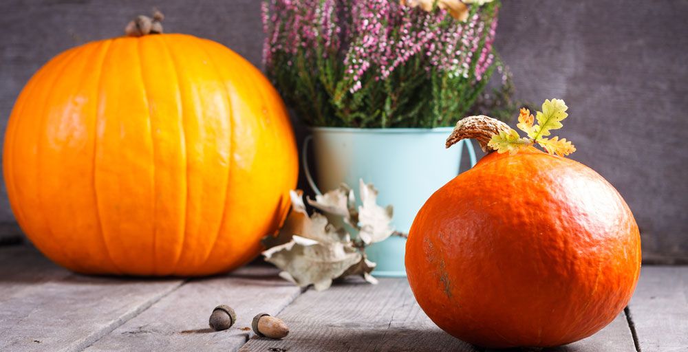DelMarFans's tweet photo. Add a modern touch to the season by incorporating hints of blue into your fall decor. #falltip #homedecor https://t.co/NKCrjCDV1q