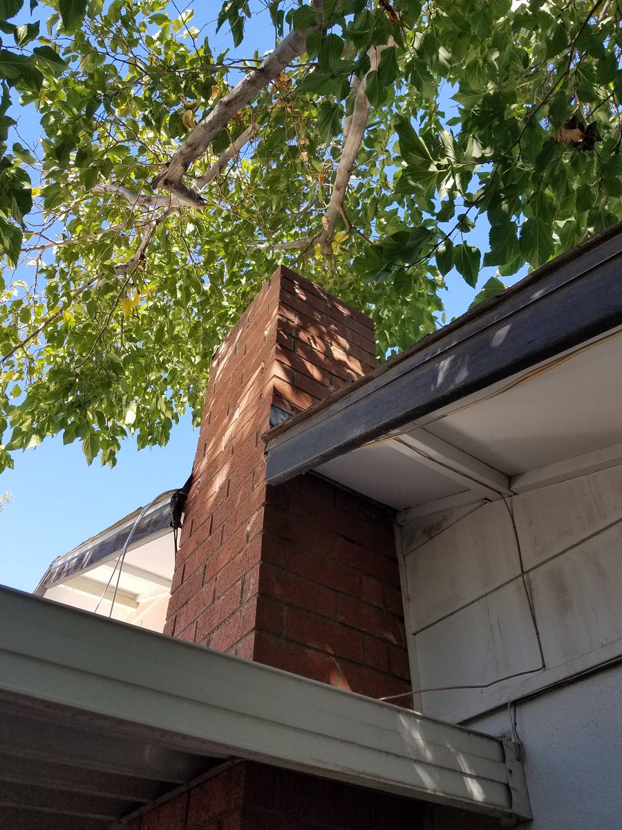 BroProInspect's tweet image. It's probably a good idea to check the growth of foliage around the perimeter of your home.