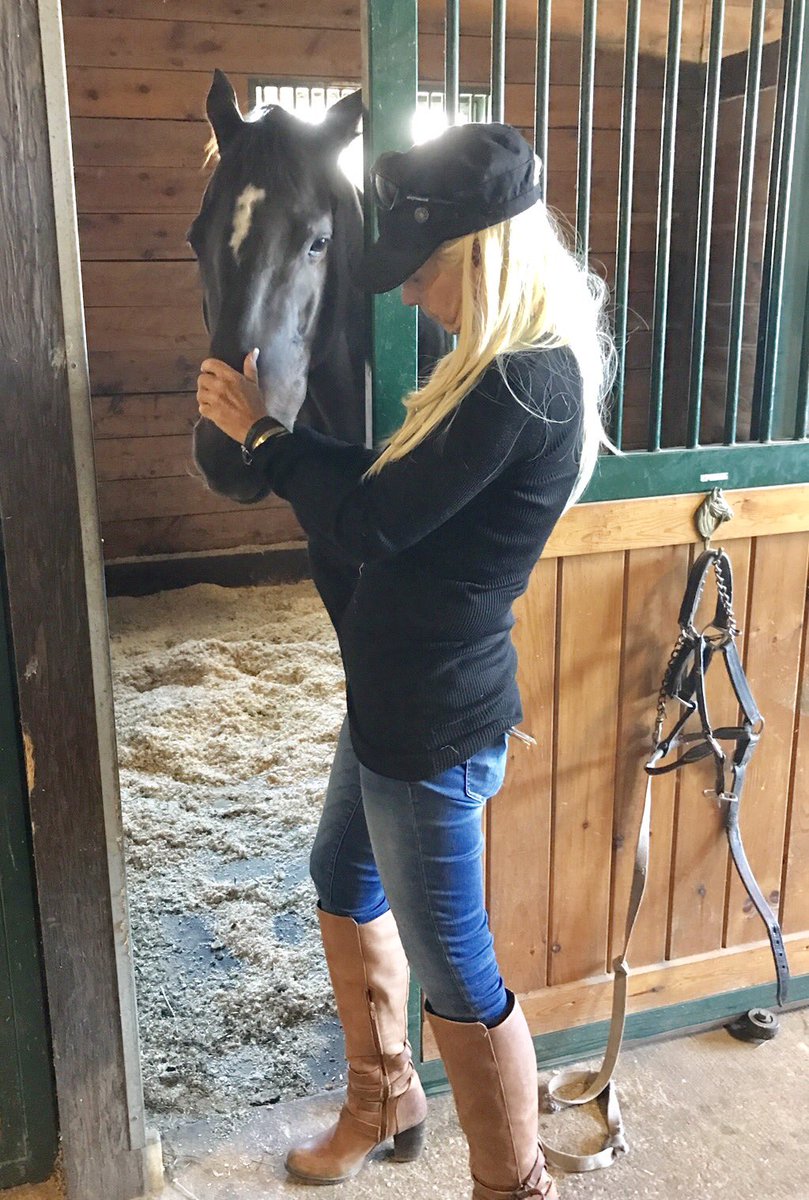 ladererstables's tweet photo. My love always #metaurus @ReRunOTTB @lisaky72 https://t.co/AvXxYHWRBI