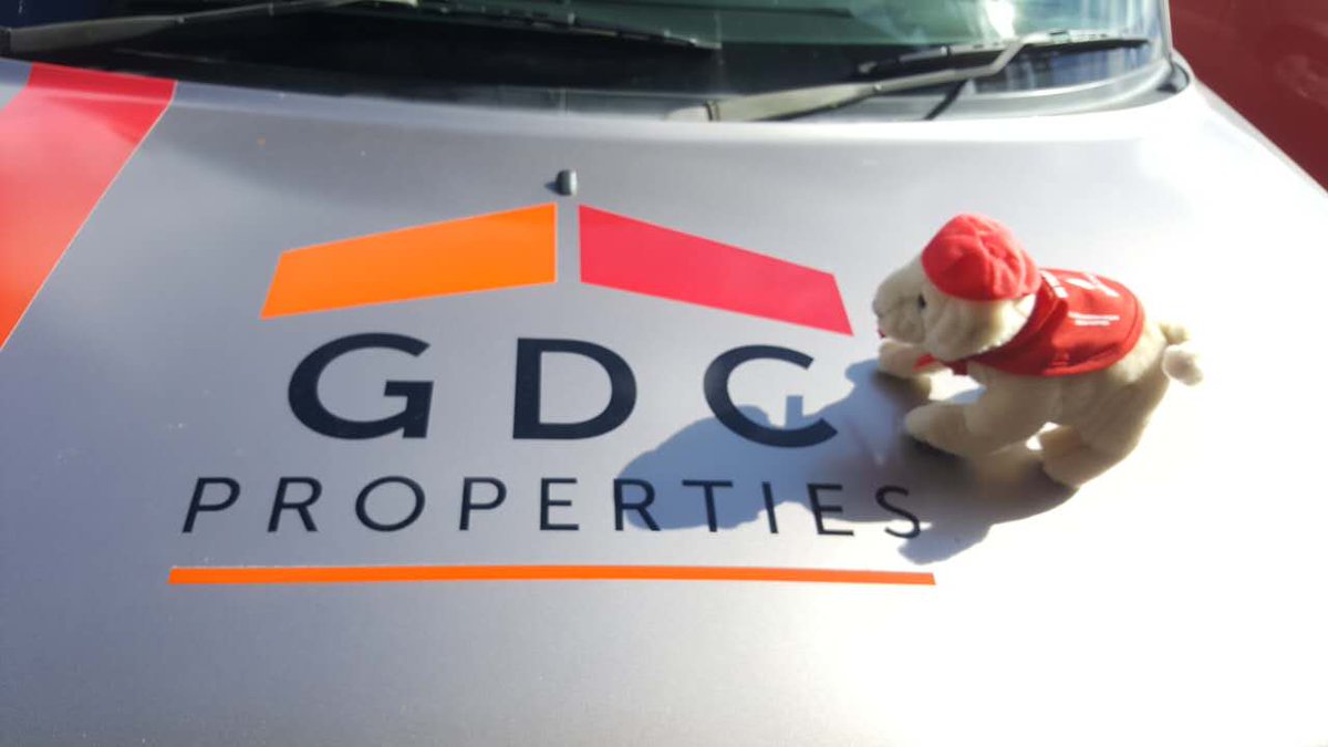 GDC_Properties's tweet image. Donate our little love to support #blindfoundation #guidedogtraining😊😊😊