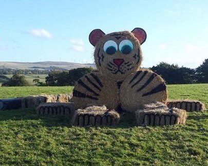 atvrobinworks's tweet photo. Well done #avondaleyfc #baleart #tigertim #sayfc clyde1 A71 caldermill https://t.co/XxO3g7NodG