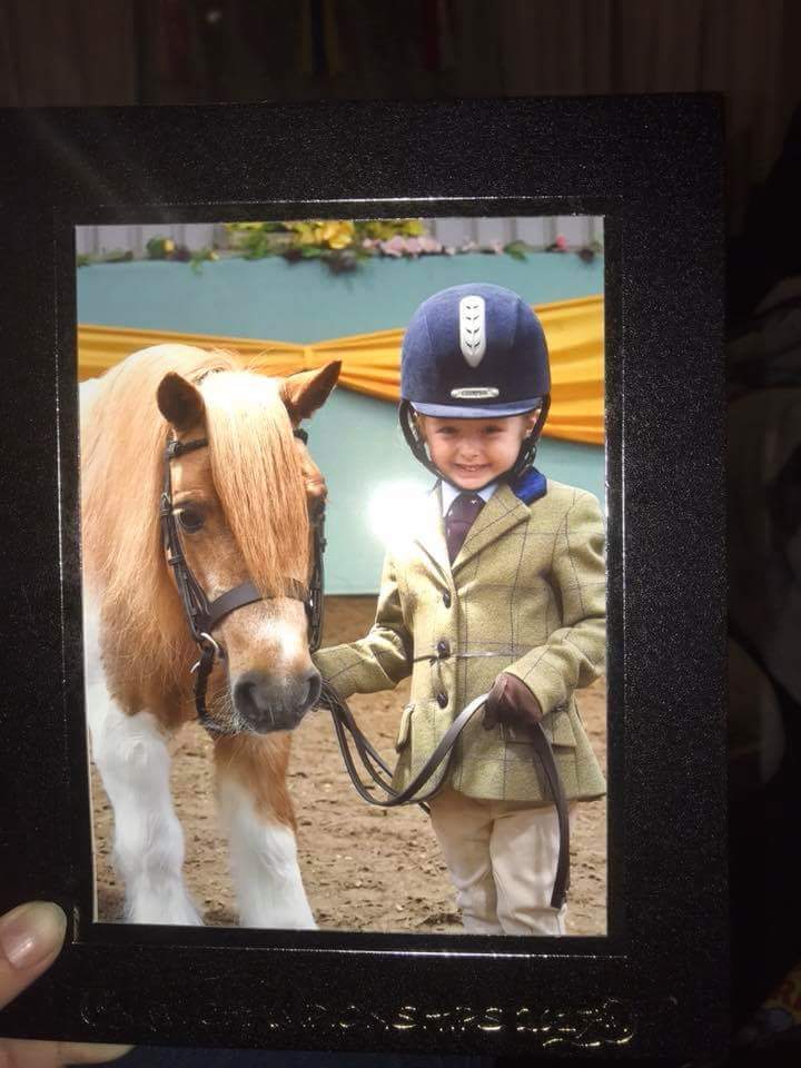 JSEquestrian's tweet photo. 5th place for Lillie and Minnie all the #jsequestrian crew are super proud tonight #cute #shetland @247equestrian https://t.co/HSrPt6KMrg