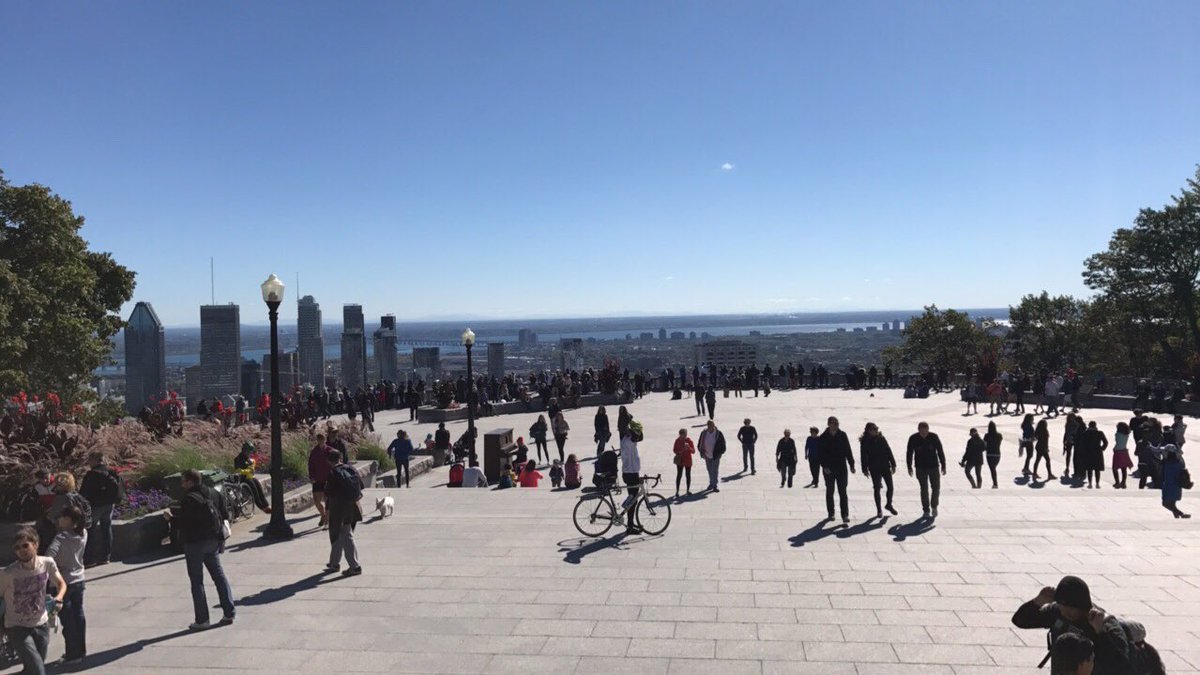 #TDTreedays on Mount-Royal - what a view to finish off with !