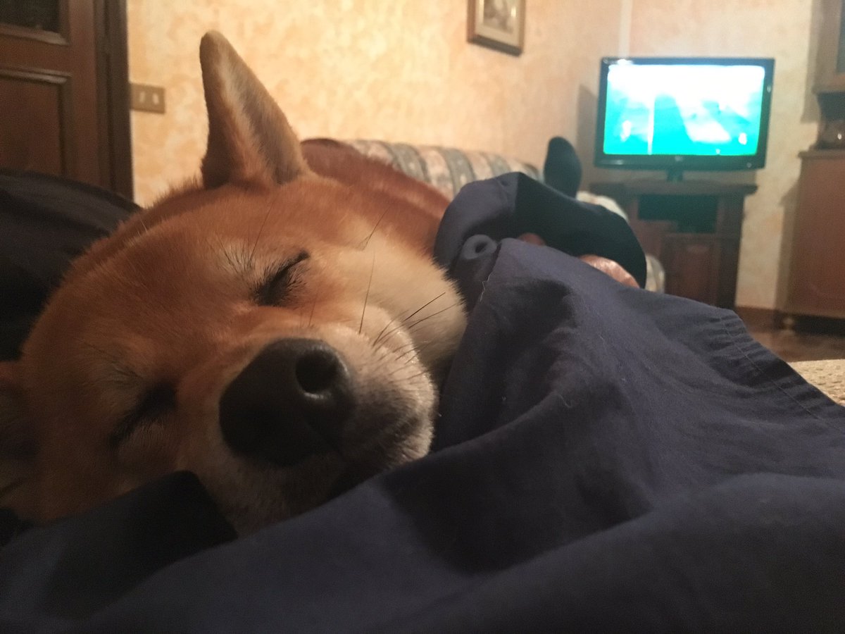 alessandra➰ tweet media