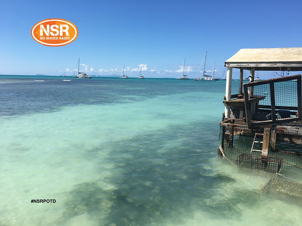 noshoesradio's tweet photo. #LoveForLoveCity https://t.co/VXXZWxEXnI #NSRPOTD https://t.co/yA5LiqqZkh