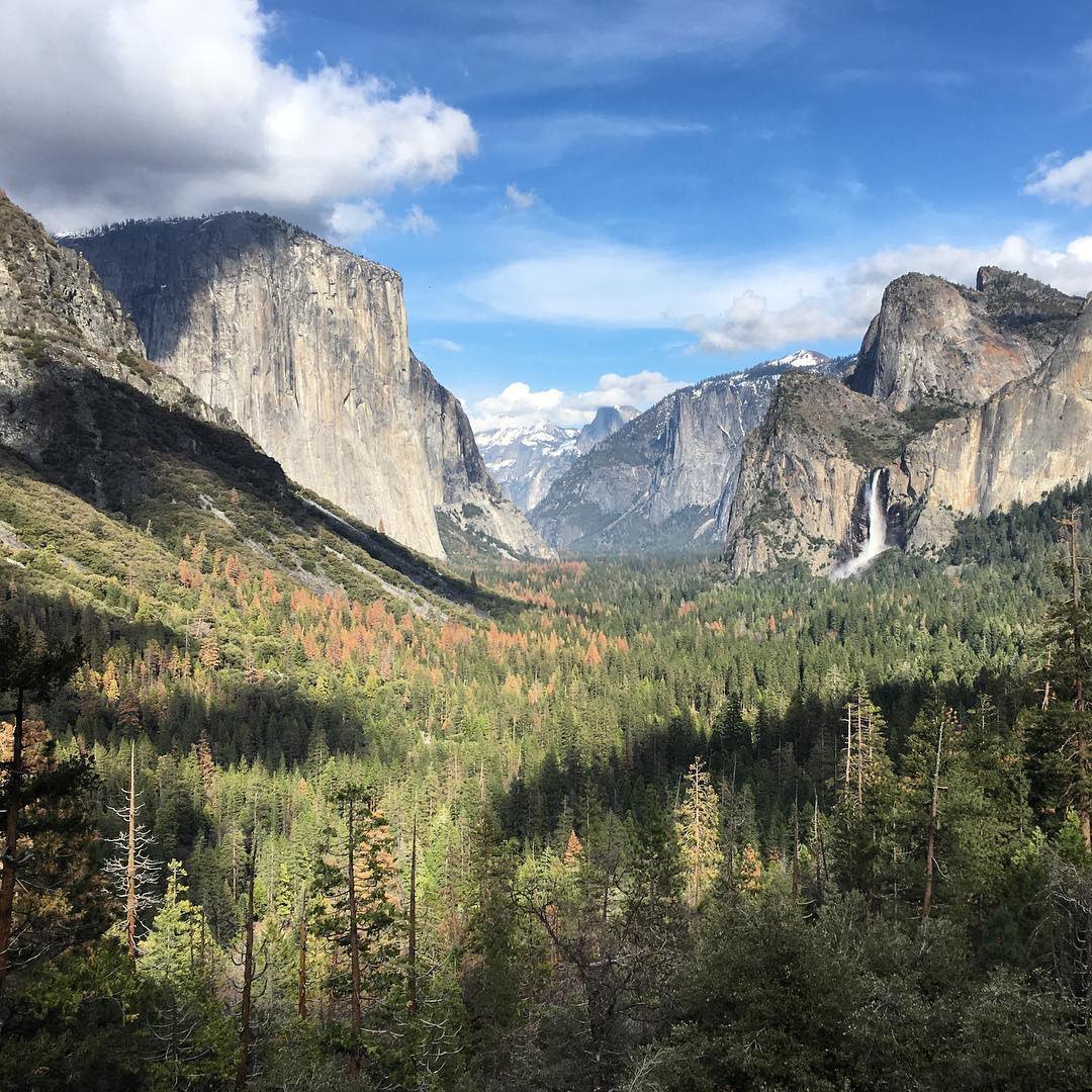 In honor of #NationalPublicLandsDay, we put together a fun tutorial on how to edit nature photos in Lightroom: bit.ly/npldtutorial.