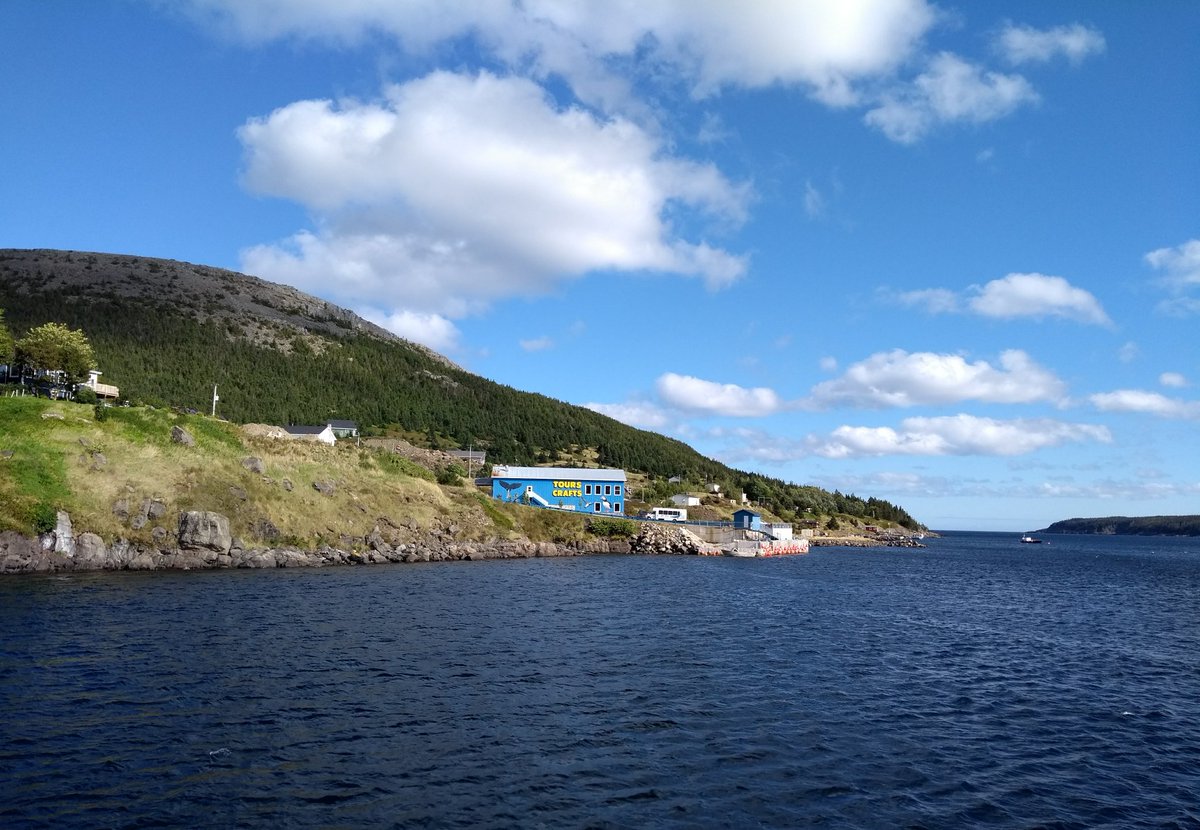 Chardbirder's tweet photo. The view from the water was stunning today at Bay Bulls, courtesy of #Gatherall's Puffin and Whale Watch. #newfoundland https://t.co/vU6QL8KGGI