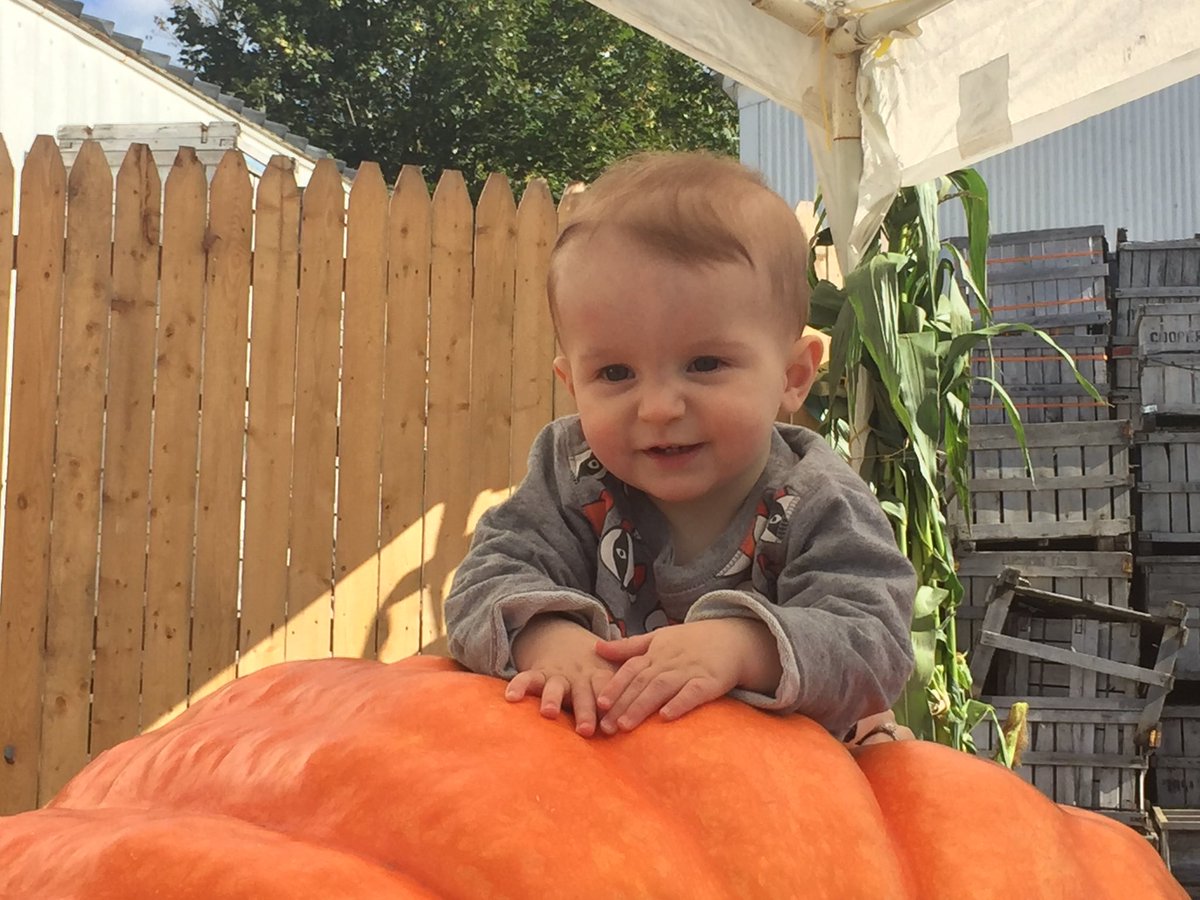 lesliebonci's tweet photo. #ActiveAdvice-Our adorable grand munchkin on the great pumpkin #awashinsquash #October https://t.co/9XErddWYWN