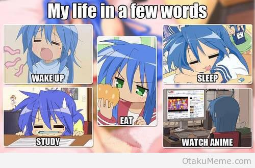 Cjminecraftpro's tweet photo. True Story #Luckystar https://t.co/FpUWC8KBe3