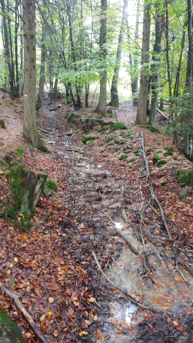 martinruff1's tweet photo. Letzte Vorbereitung für den @Taubertal100 wie's nicht im Lehrbuch steht: 24km, 1400hm im #Etschtal. #laufenmachtglücklich https://t.co/5fMyU6MZgv