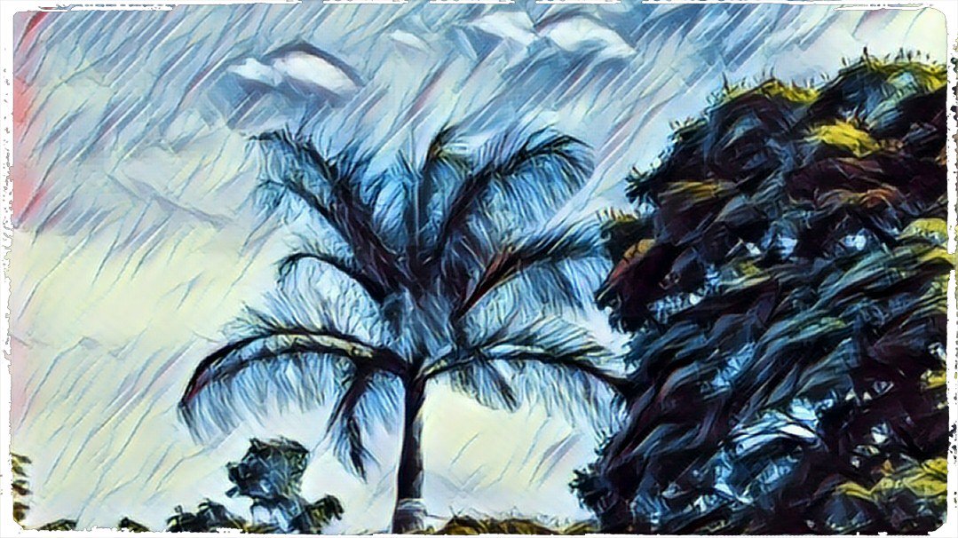 César Fontana tweet media