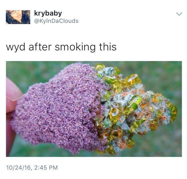 CauseWereGuys's tweet photo. https://t.co/sV4ob2RX7Y