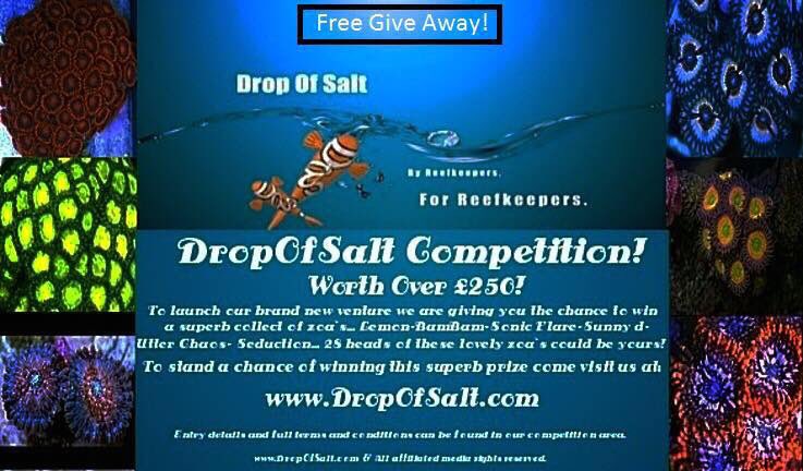 DropOfSalt tweet picture