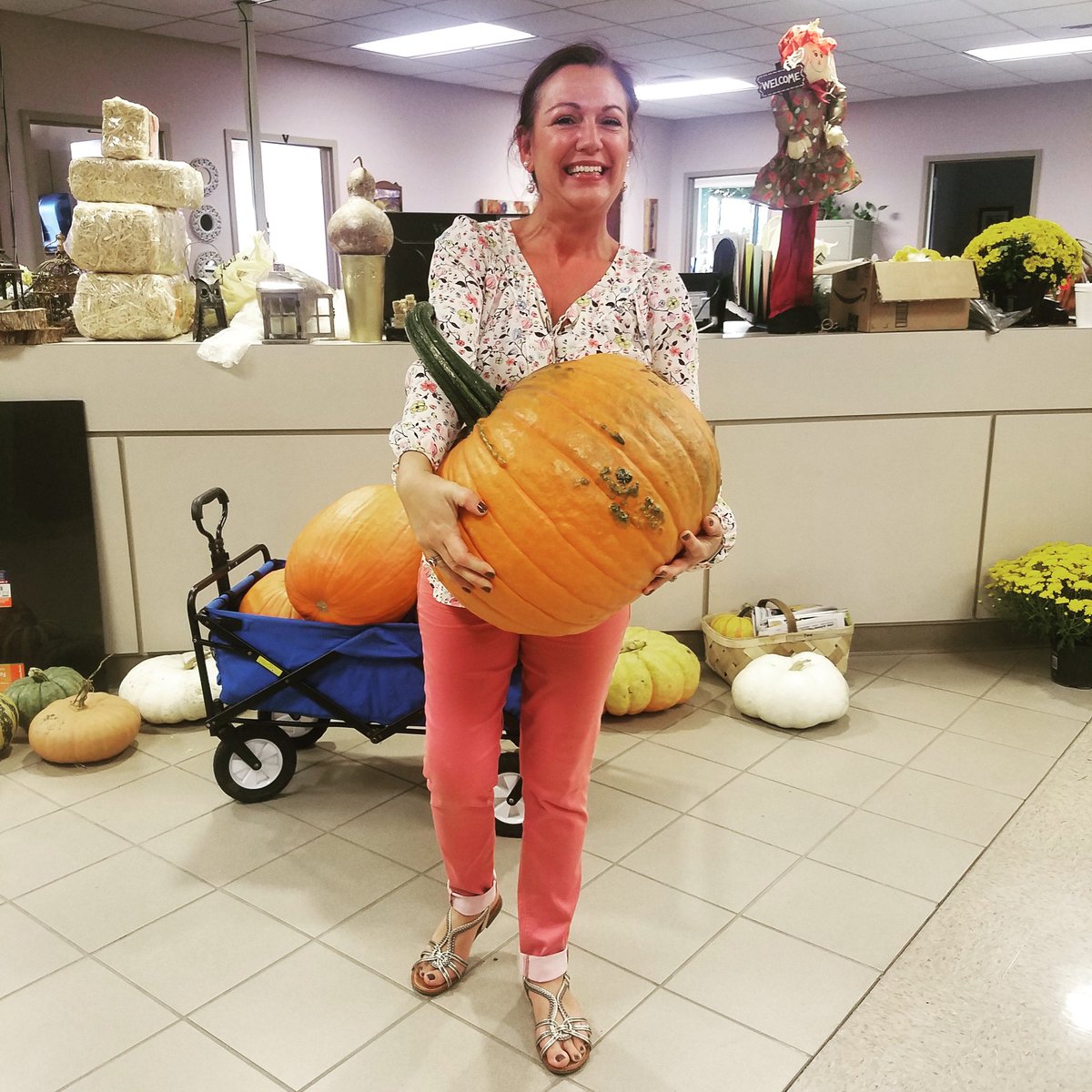 MMSmithey's tweet photo. Now that's a big pumpkin! #pumpkins #thegivingtable #samaritanskitchen #donatefood #feedthehungry https://t.co/RxHP6rPPad