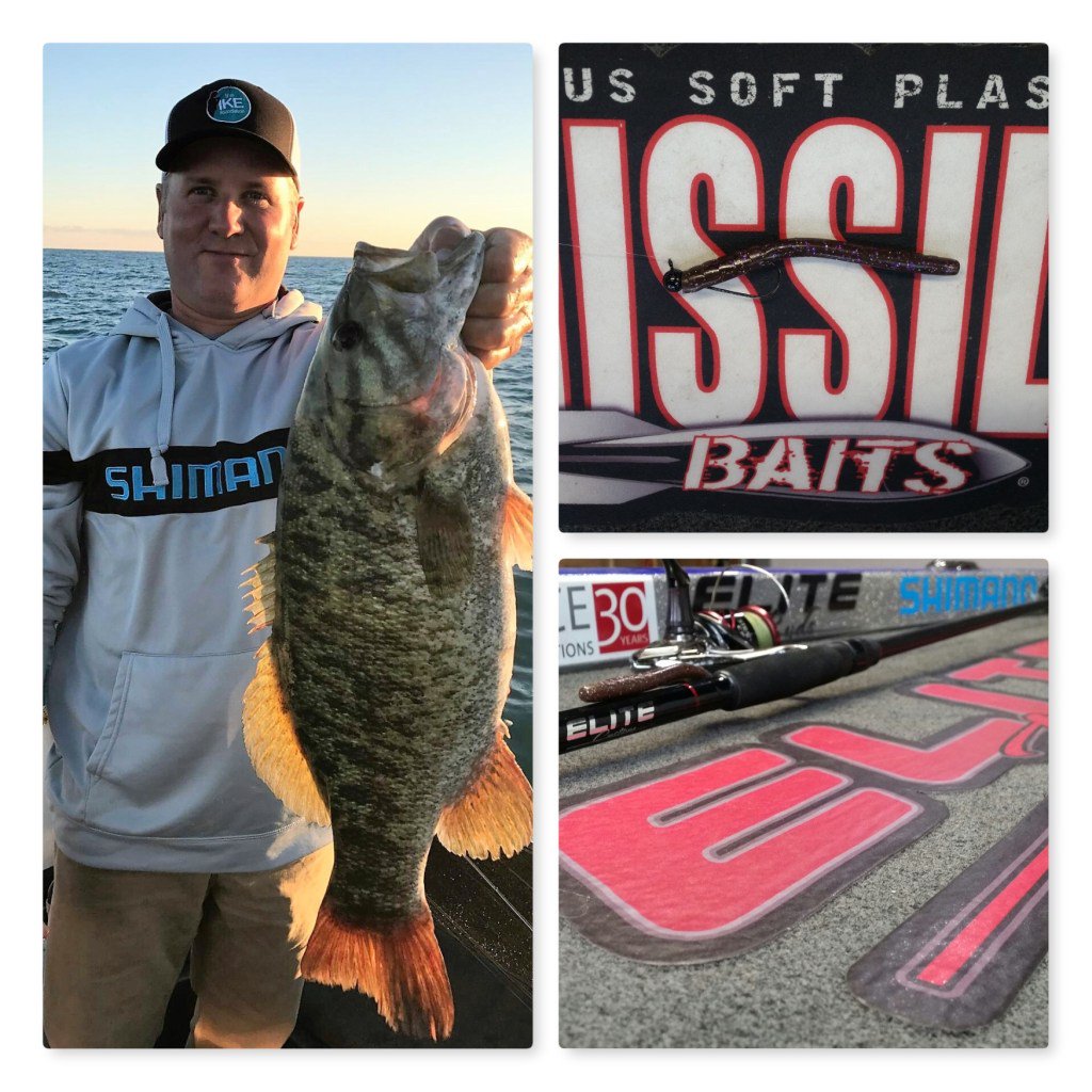 RootFishing's tweet photo. HUNTING GIANTS https://t.co/khaclfAeXa https://t.co/xcyNmbIuPI