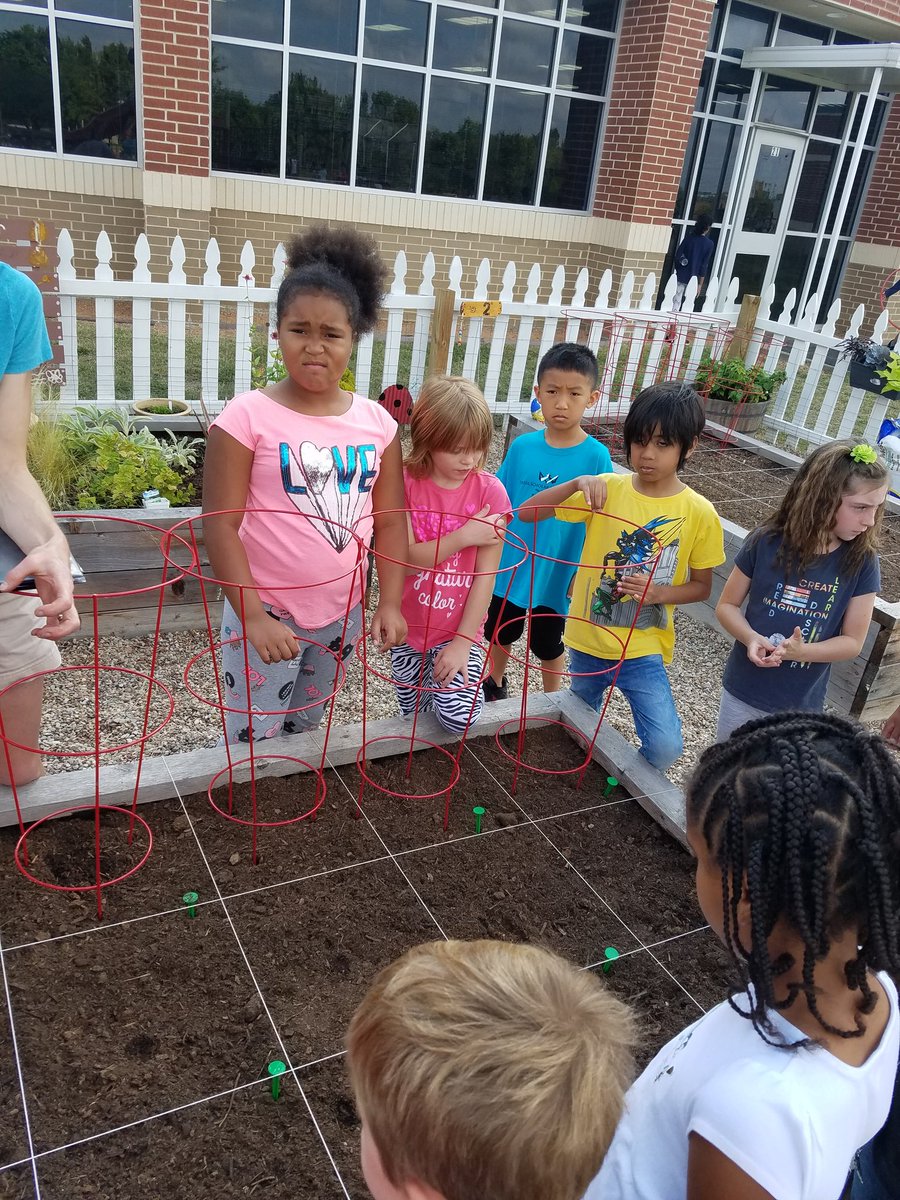McCallSecond's tweet photo. Planting in the garden last Monday!! Can't wait for our students to observe their growth! #coltslearn https://t.co/wl5XISI9JZ