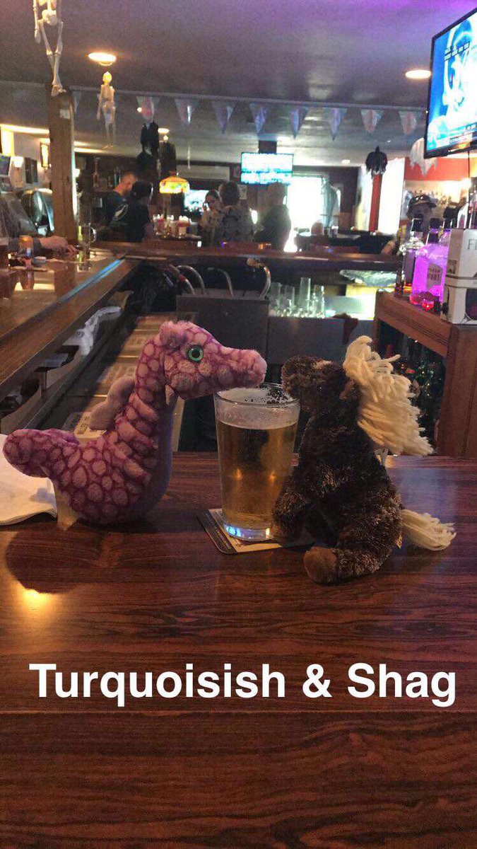 Gravity_Inn's tweet photo. #gravityinn football mascots https://t.co/UKqes1VSxD