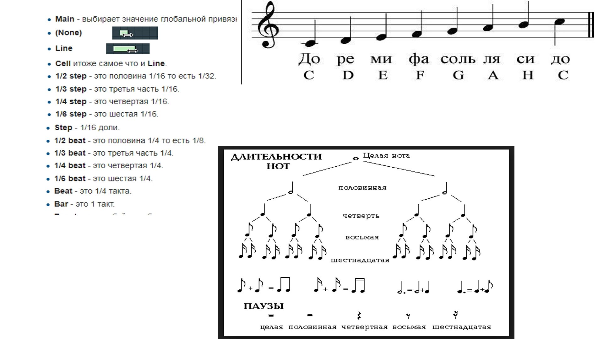 Ноты целые половинные четвертные