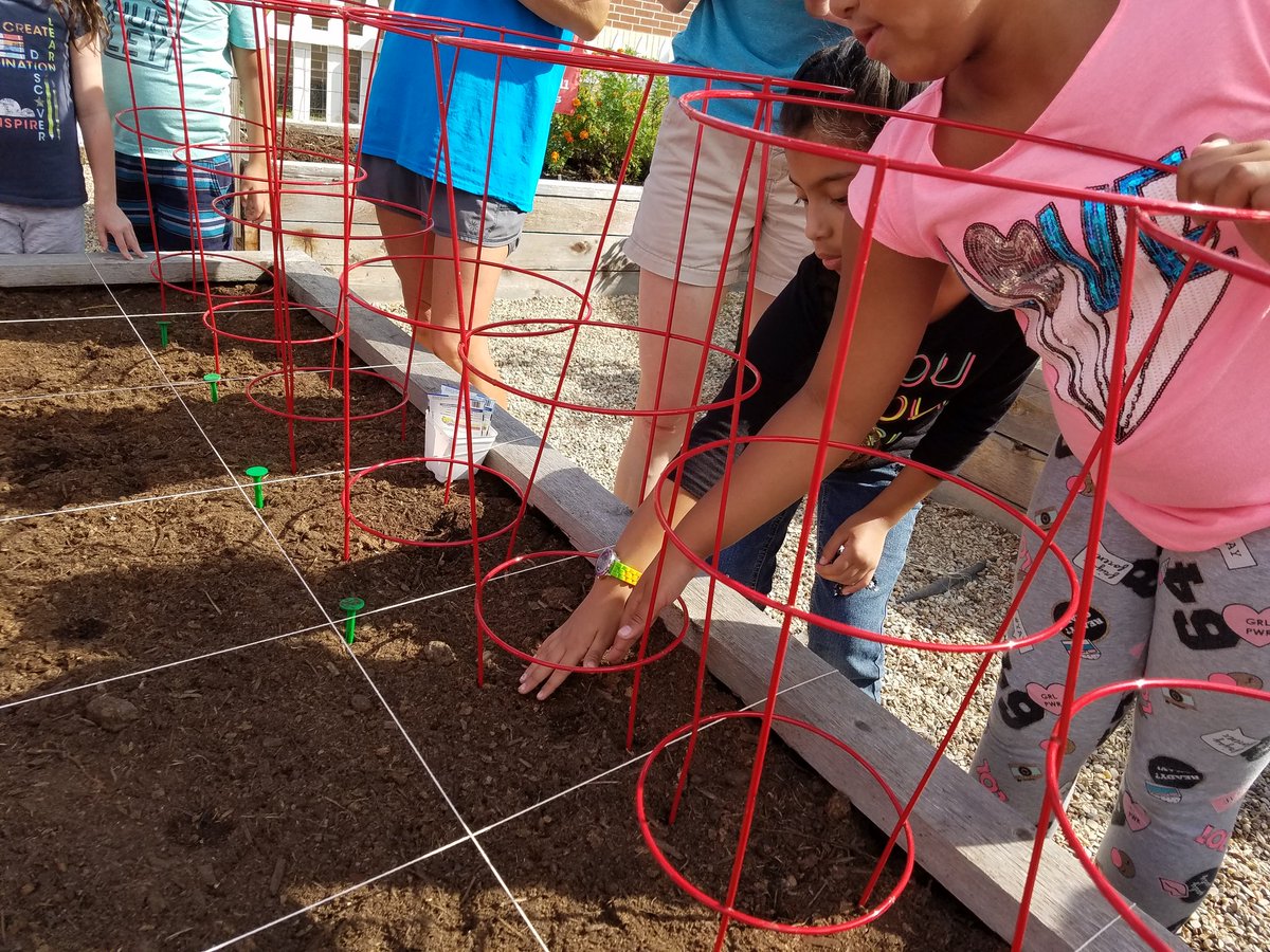 McCallSecond's tweet photo. Planting in the garden last Monday!! Can't wait for our students to observe their growth! #coltslearn https://t.co/wl5XISI9JZ