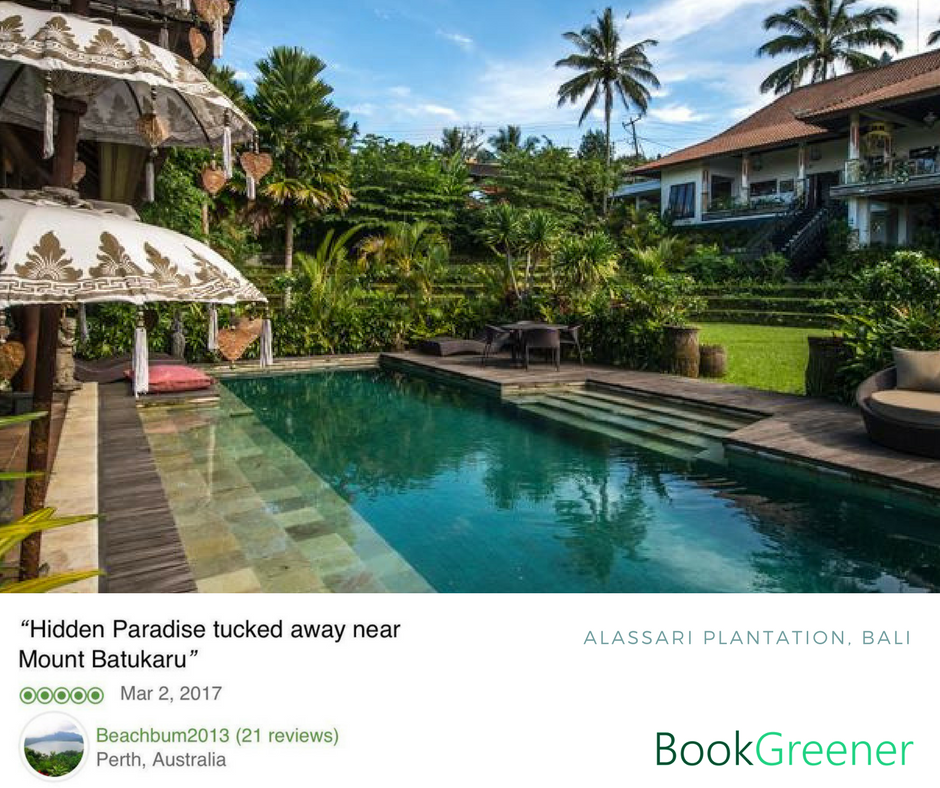 BookGreener's tweet photo. Relax by the pool .. Alassari Plantation #bookgreener #alassariplantation https://t.co/0elPJ1iykE https://t.co/5U9vU4khaa