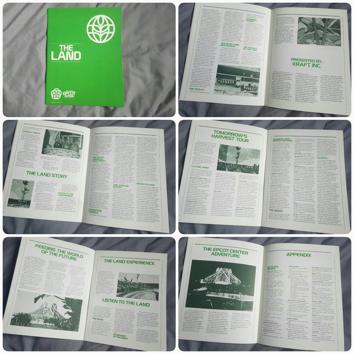 stanley_g's tweet photo. My favourite pavilion at #Epcot here is the CM guide to the pavilion given out before #OpeningDay #October1st #Epcot35 https://t.co/PMCMGbabcv
