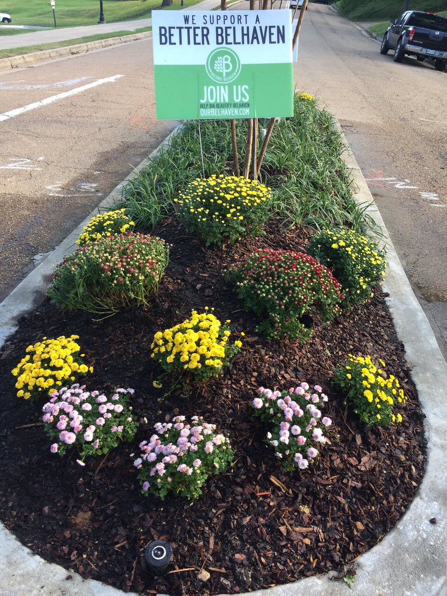We hope this little pop of color makes you stop; smile; and say "I love my neighborhood!"  #BetterBelhaven #BelhavenPride #SupportBIA