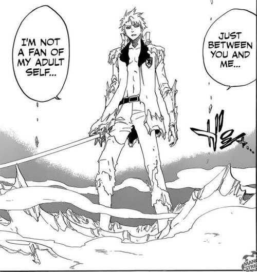 Toshiro Hitsugaya Full Bankai