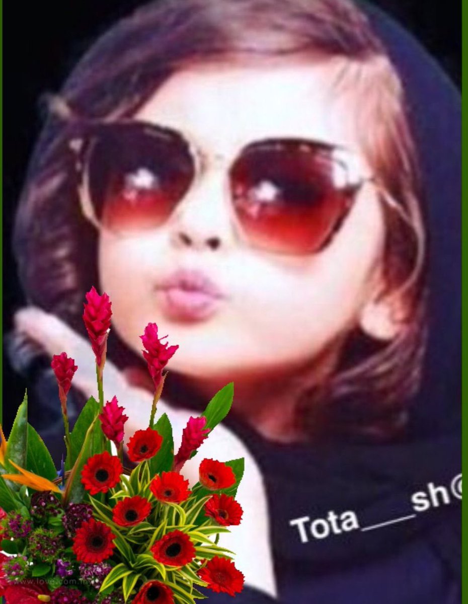 ✻ ‏᷂ريمــــــا tweet media