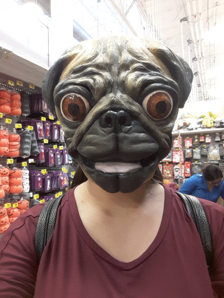 ellastresmx's tweet photo. Aqui viviendo mi #puglife  ... #FelizDomingo #pugs #DogLife #pug #niceday https://t.co/NWBsqeyMPG