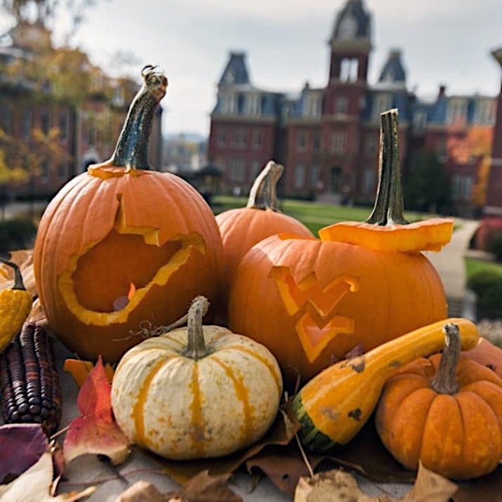 October is the best when spent in West Virginia. 💛🎃🍂👻🍁