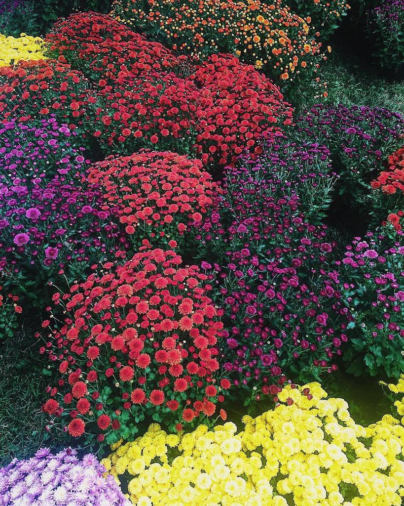 We're sharing images on Instagram @hamiltonlauraville. Check out our latest post:ift.tt/2yj6cww