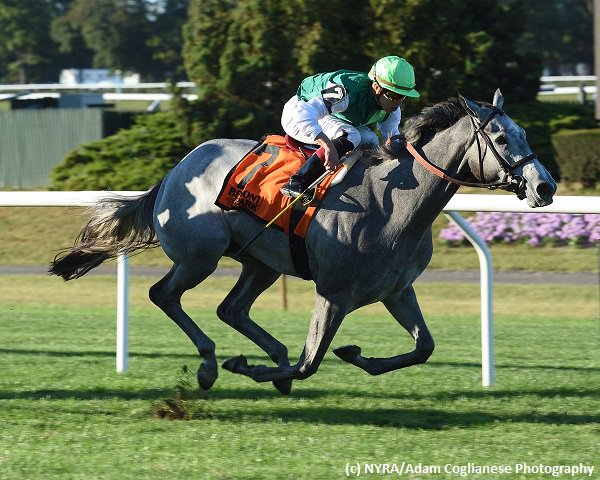 Brisnet's tweet photo. #SignificantForm lives up to favoritism with #MissGrillo (G3) win at #Belmont
https://t.co/OUPJMOOztE https://t.co/LCbWz5HTOJ