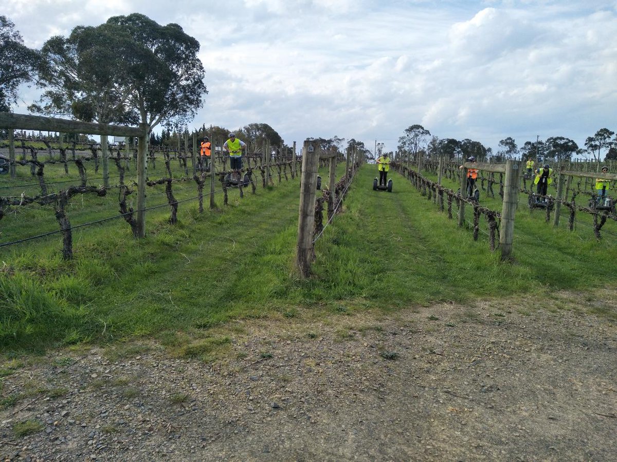 SegwayVictoria's tweet photo. Weekend Segway Victoria Adventures - Part 1! 

#MostFunStandingUp #WanderVictoria #FindYourself https://t.co/teGeGXOz6O
