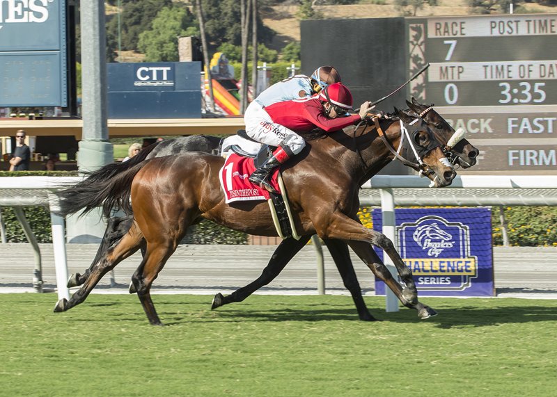 BH_AEberhardt's tweet photo. #Itsinthepost with @tyler_baze (red) wins the G2T #JohnHenryTurfChampionship for Red Baron’s Barn, Jed Cohen and Jeff Mullins @santaanitapark Bred in France, by #AmericanPost standing at Haras National Treban @BenoitPhoto_ https://t.co/1UclcUUOKI