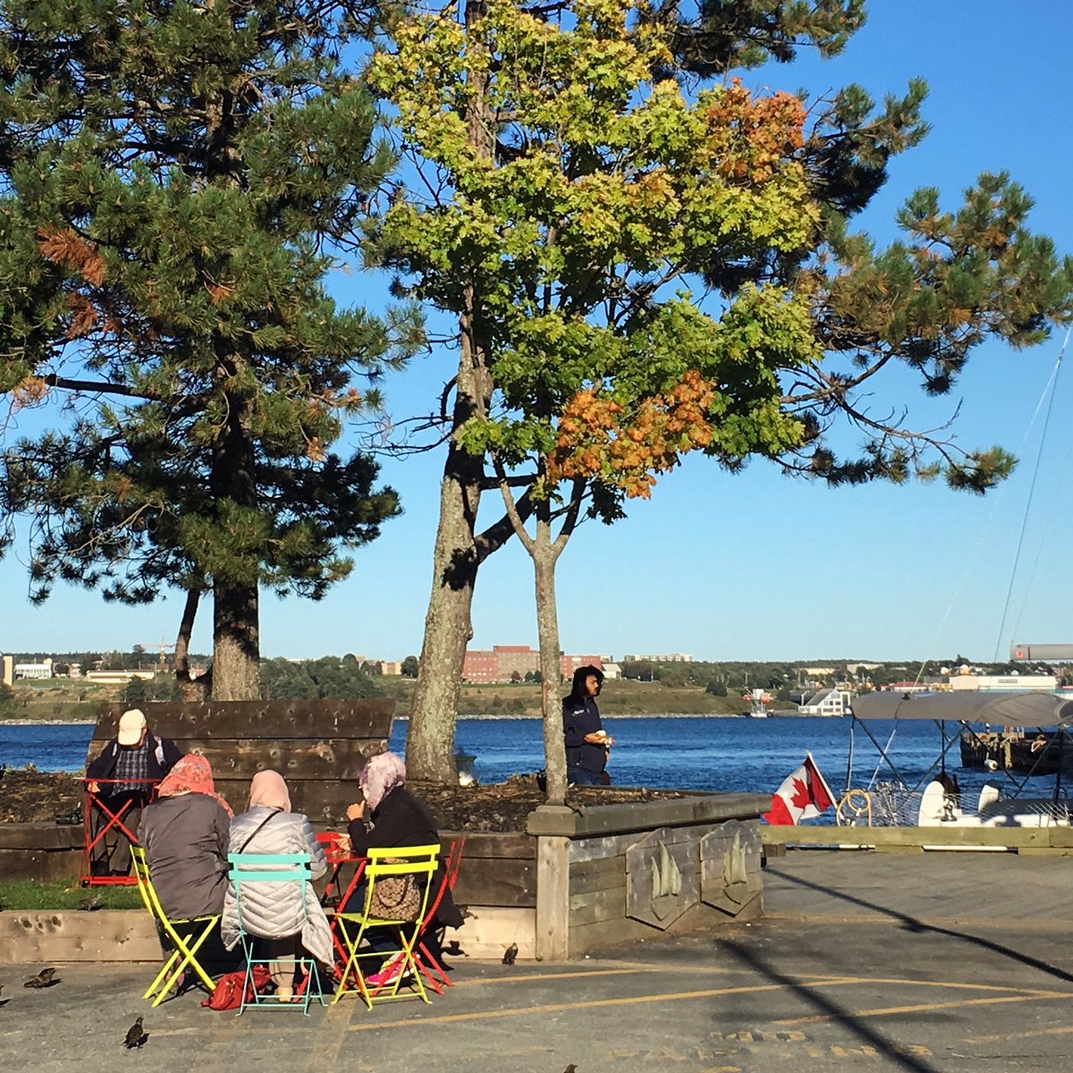 mariejuliega's tweet photo. Salut Halifax! #RunMJRun #GoMedia2017 https://t.co/PcewfoMsu5